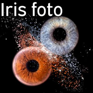 iris foto